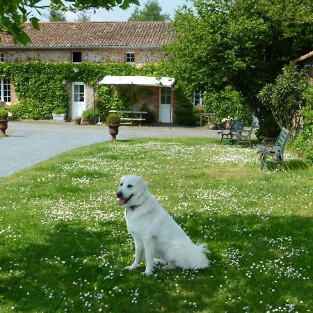 Jolie Tiny House Sous Les Grands Arbres Vila Cholet Exterior foto