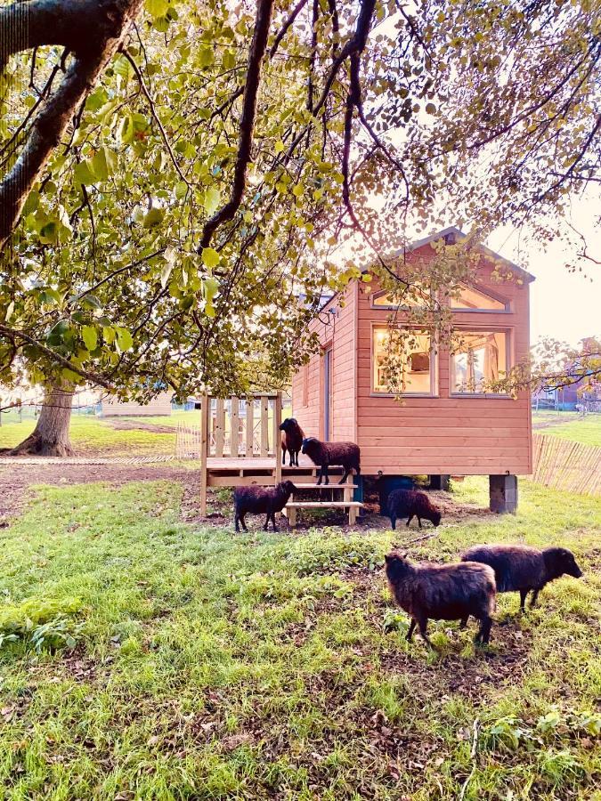 Jolie Tiny House Sous Les Grands Arbres Vila Cholet Exterior foto