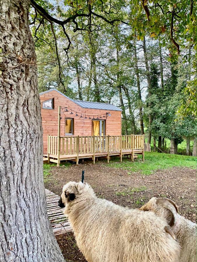 Jolie Tiny House Sous Les Grands Arbres Vila Cholet Exterior foto