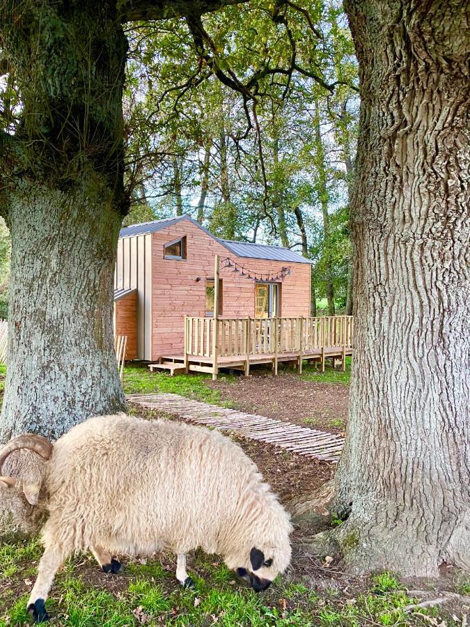 Jolie Tiny House Sous Les Grands Arbres Vila Cholet Exterior foto