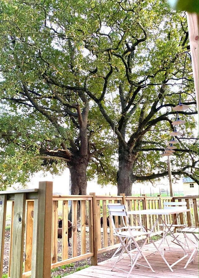 Jolie Tiny House Sous Les Grands Arbres Vila Cholet Exterior foto
